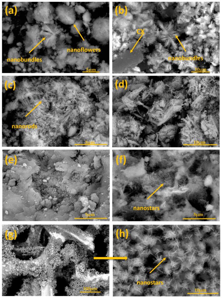 https://cdn.ncbi.nlm.nih.gov/pmc/blobs/a86b/8465867/1d4aaa061222/materials-14-05271-g002.jpg