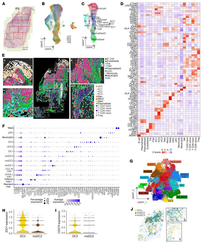 https://cdn.ncbi.nlm.nih.gov/pmc/blobs/a86e/12077899/f14e56142d8b/jci-135-182040-g173.jpg