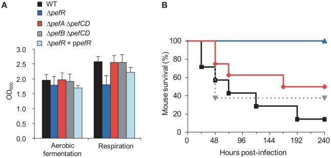 https://cdn.ncbi.nlm.nih.gov/pmc/blobs/a86e/2858704/40c539db279d/ppat.1000860.g008.jpg