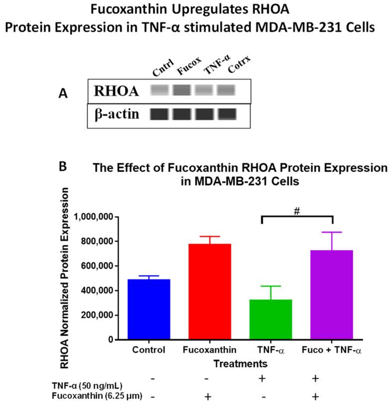https://cdn.ncbi.nlm.nih.gov/pmc/blobs/a874/10779870/60e50eb69279/molecules-29-00061-g008.jpg