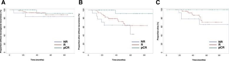 https://cdn.ncbi.nlm.nih.gov/pmc/blobs/a874/6448234/d2a225e71c70/12885_2019_5499_Fig3_HTML.jpg