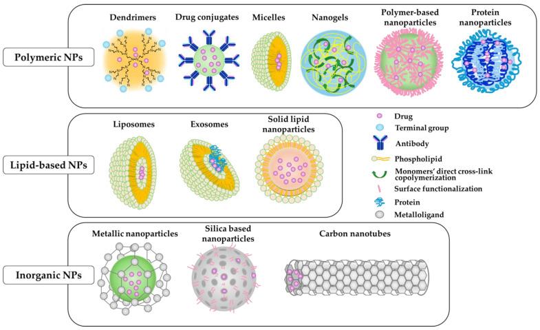 https://cdn.ncbi.nlm.nih.gov/pmc/blobs/a878/11351628/a5875d25d245/biomedicines-12-01876-g003.jpg