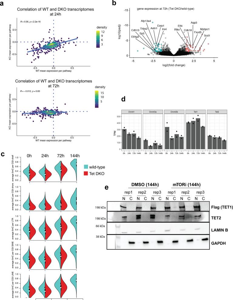 https://cdn.ncbi.nlm.nih.gov/pmc/blobs/a879/11479945/11070637ac5f/41594_2024_1313_Fig13_ESM.jpg