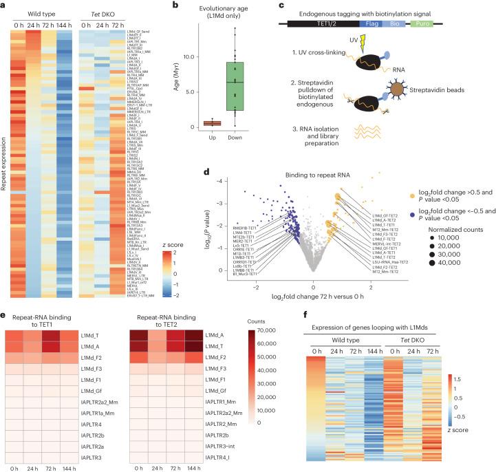 https://cdn.ncbi.nlm.nih.gov/pmc/blobs/a879/11479945/69d7342d3ba1/41594_2024_1313_Fig6_HTML.jpg