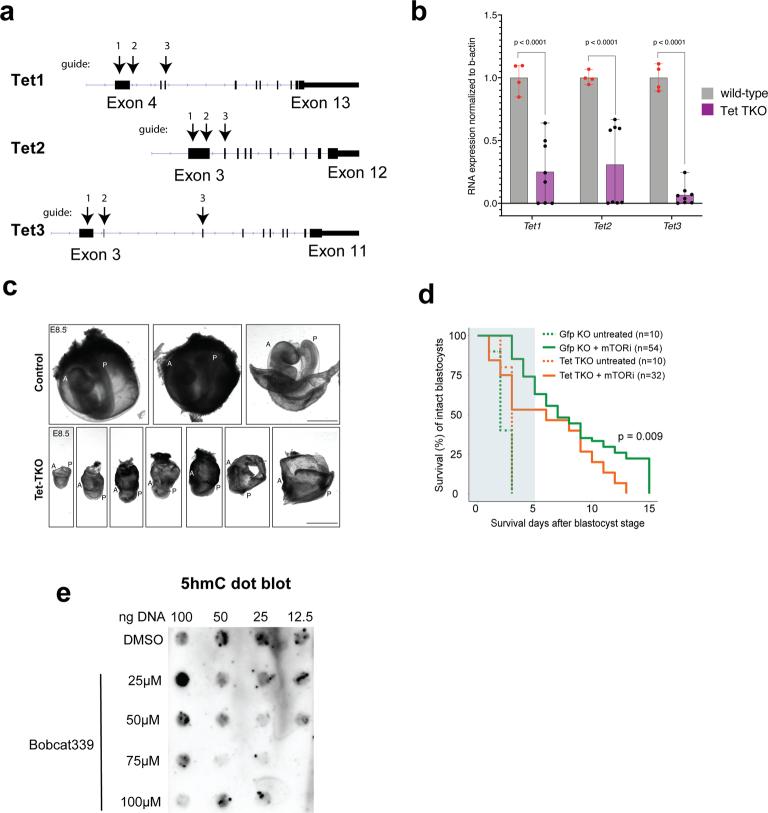 https://cdn.ncbi.nlm.nih.gov/pmc/blobs/a879/11479945/799c52e4cced/41594_2024_1313_Fig18_ESM.jpg