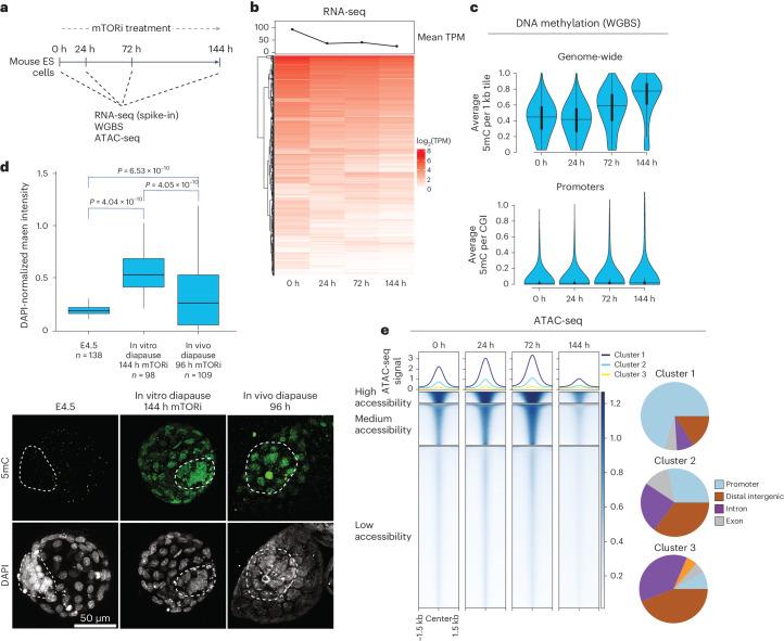 https://cdn.ncbi.nlm.nih.gov/pmc/blobs/a879/11479945/898ef85e5b17/41594_2024_1313_Fig1_HTML.jpg