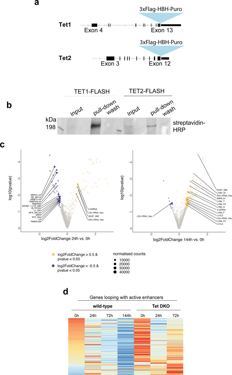 https://cdn.ncbi.nlm.nih.gov/pmc/blobs/a879/11479945/8aafab703867/41594_2024_1313_Fig15_ESM.jpg