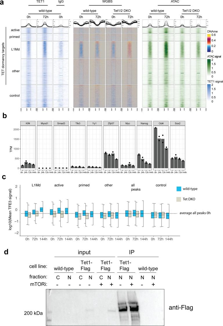 https://cdn.ncbi.nlm.nih.gov/pmc/blobs/a879/11479945/a0843350eba8/41594_2024_1313_Fig14_ESM.jpg