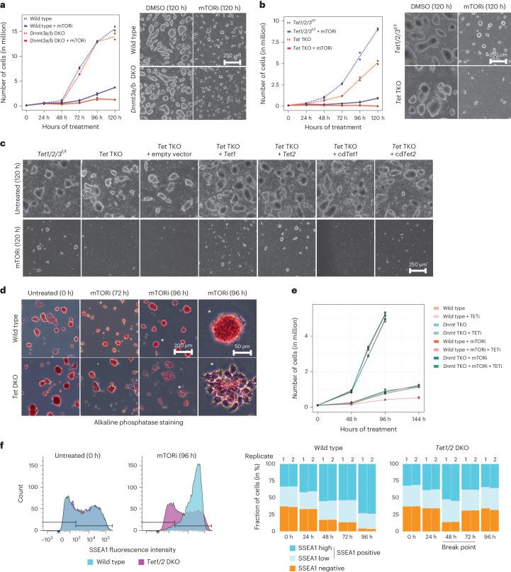 https://cdn.ncbi.nlm.nih.gov/pmc/blobs/a879/11479945/bdccf0b14954/41594_2024_1313_Fig2_HTML.jpg