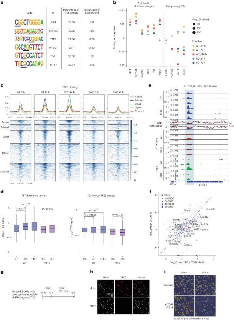 https://cdn.ncbi.nlm.nih.gov/pmc/blobs/a879/11479945/cbacbed91631/41594_2024_1313_Fig5_HTML.jpg
