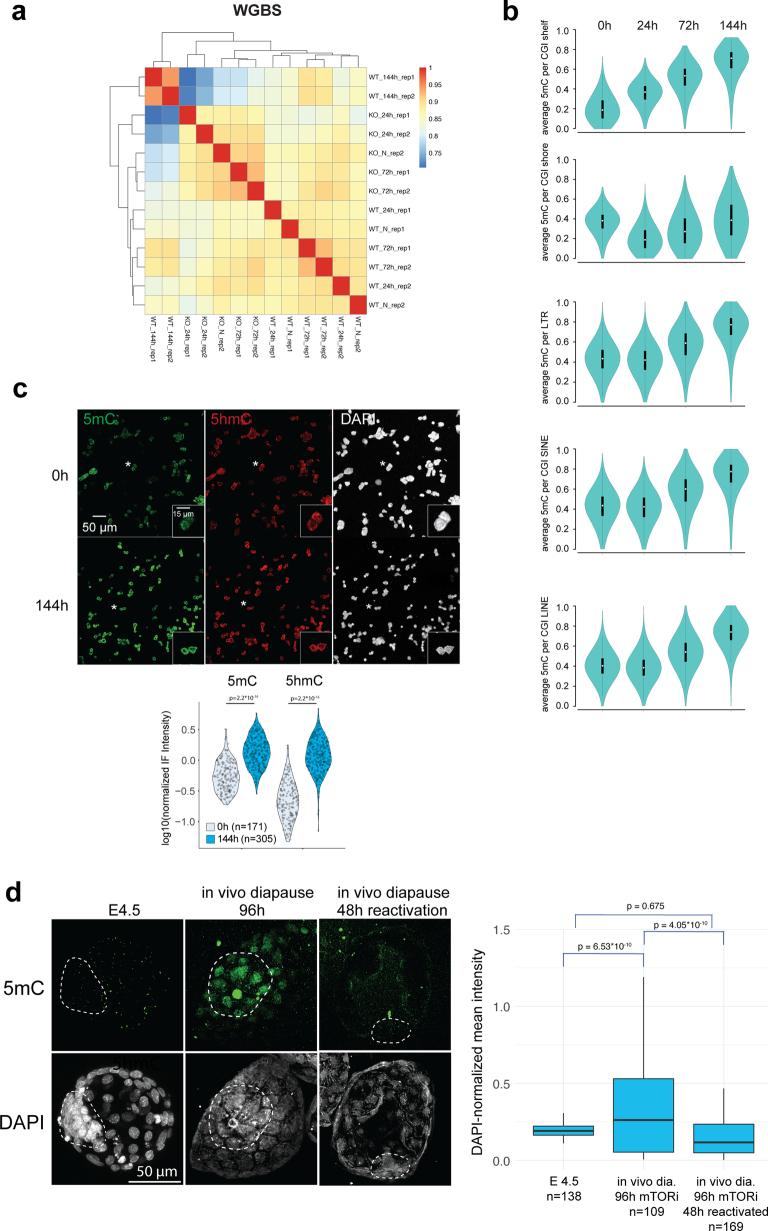 https://cdn.ncbi.nlm.nih.gov/pmc/blobs/a879/11479945/d77ad9683f26/41594_2024_1313_Fig10_ESM.jpg