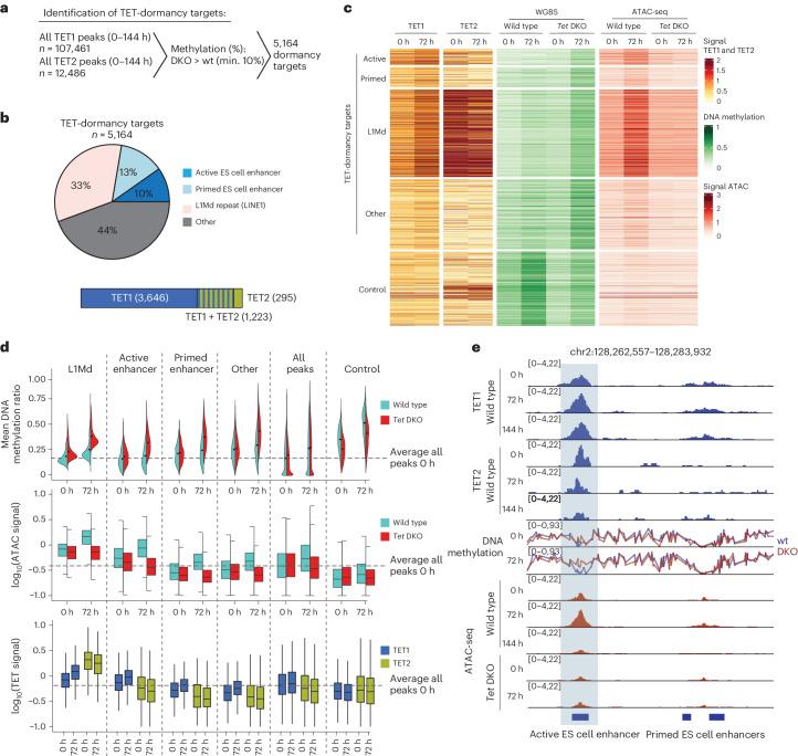 https://cdn.ncbi.nlm.nih.gov/pmc/blobs/a879/11479945/ebc6c26a3971/41594_2024_1313_Fig4_HTML.jpg