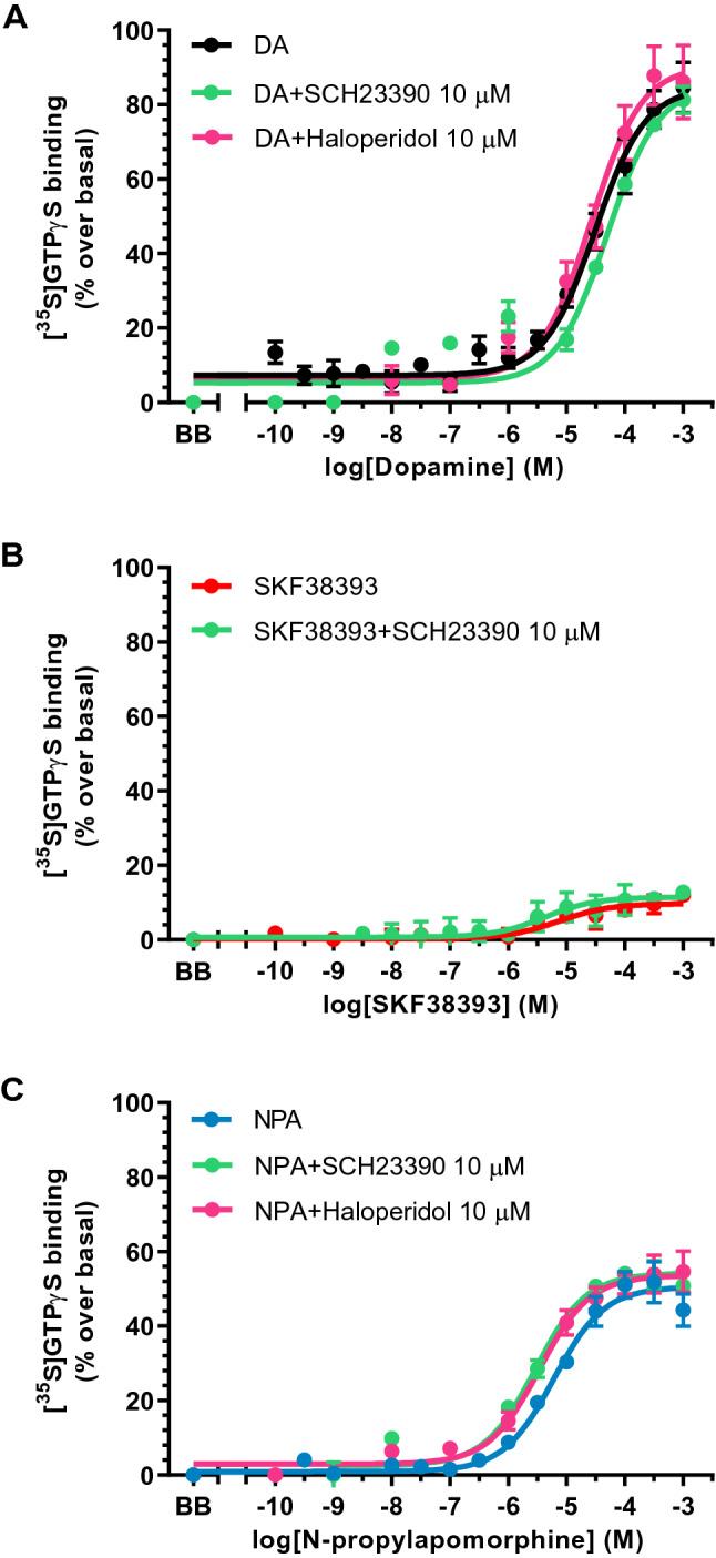 https://cdn.ncbi.nlm.nih.gov/pmc/blobs/a87a/8413194/c541043bc715/43440_2021_305_Fig2_HTML.jpg