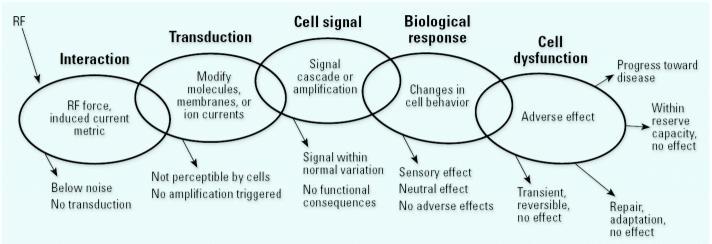 https://cdn.ncbi.nlm.nih.gov/pmc/blobs/a87c/1849947/38a1e45d1fa8/ehp0115-000416f1.jpg