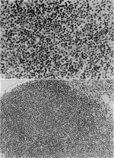 https://cdn.ncbi.nlm.nih.gov/pmc/blobs/a87d/1409554/608d00b3146e/immunology00384-0071-a.jpg