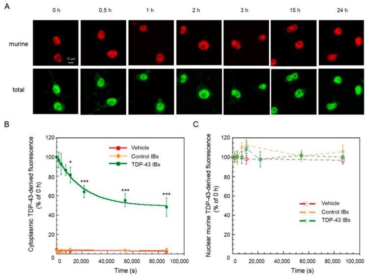 https://cdn.ncbi.nlm.nih.gov/pmc/blobs/a87e/6695586/28eea006db6f/ijms-20-03685-g004.jpg