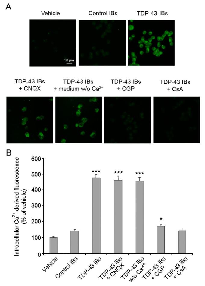 https://cdn.ncbi.nlm.nih.gov/pmc/blobs/a87e/6695586/9317eb1cbd75/ijms-20-03685-g002.jpg