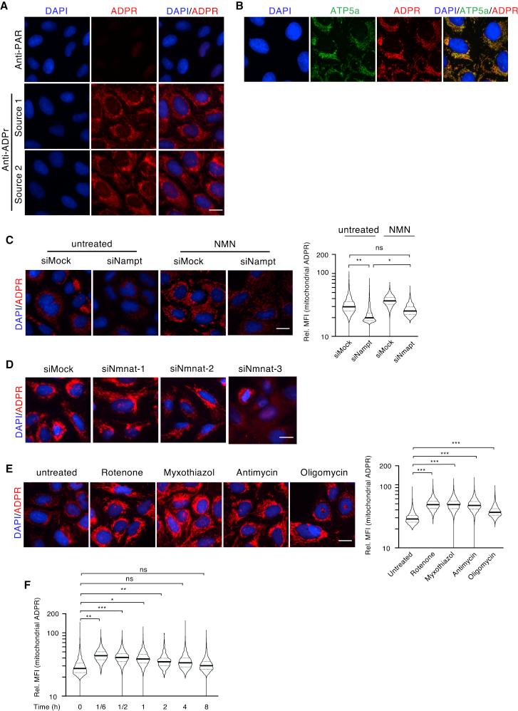 https://cdn.ncbi.nlm.nih.gov/pmc/blobs/a882/7837215/e48d6f5e7b3a/gr1.jpg