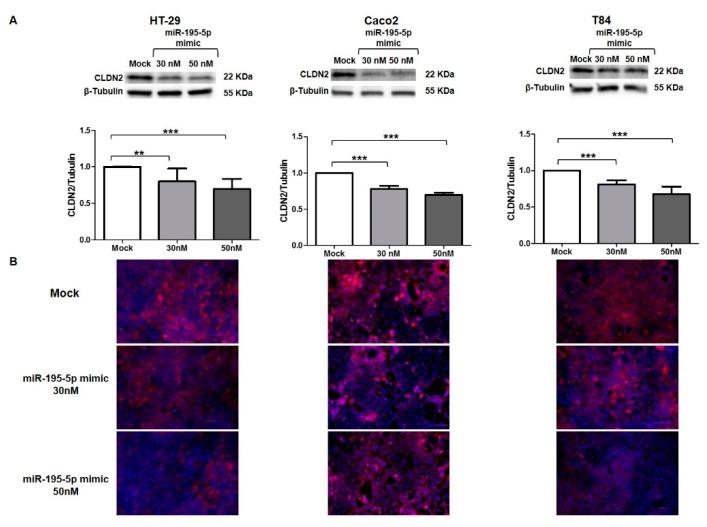https://cdn.ncbi.nlm.nih.gov/pmc/blobs/a882/9029592/542284d40ed3/biomedicines-10-00919-g005.jpg