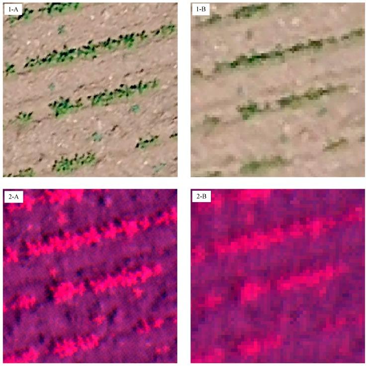 https://cdn.ncbi.nlm.nih.gov/pmc/blobs/a883/4435221/8d1117a984b2/sensors-15-05609-g005.jpg