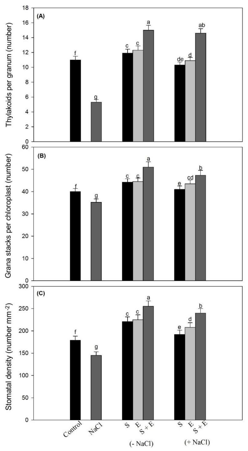 https://cdn.ncbi.nlm.nih.gov/pmc/blobs/a883/7835815/64ec4b447415/plants-10-00180-g004.jpg