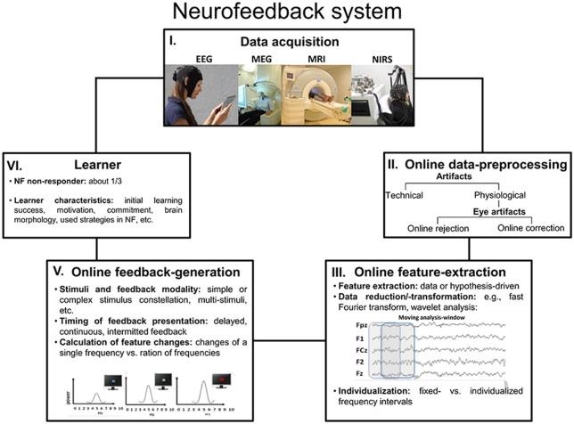 https://cdn.ncbi.nlm.nih.gov/pmc/blobs/a884/5319996/28d8d5813147/fnhum-11-00051-g0002.jpg