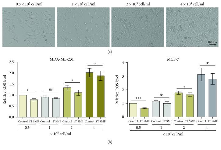 https://cdn.ncbi.nlm.nih.gov/pmc/blobs/a886/6437742/0f4fe76c7389/OMCL2019-3782074.002.jpg