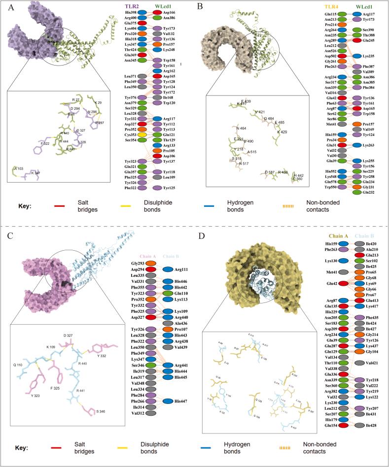 https://cdn.ncbi.nlm.nih.gov/pmc/blobs/a887/11137598/3282d0d91df2/gr3.jpg