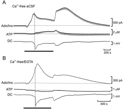 https://cdn.ncbi.nlm.nih.gov/pmc/blobs/a887/2769001/54b32c5bf1dc/CN-7-160_F7.jpg