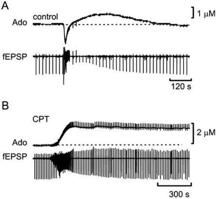 https://cdn.ncbi.nlm.nih.gov/pmc/blobs/a887/2769001/bfe3bb486a1e/CN-7-160_F8.jpg