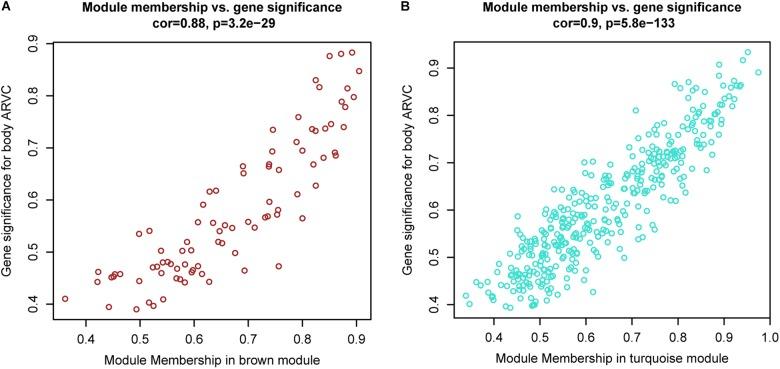 https://cdn.ncbi.nlm.nih.gov/pmc/blobs/a887/6291487/78501b50afd5/fphys-09-01778-g006.jpg