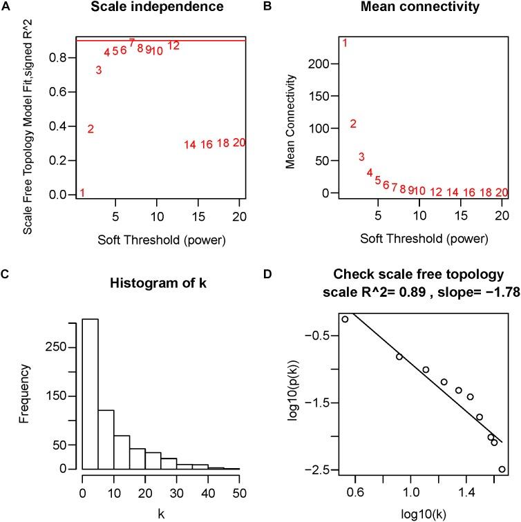 https://cdn.ncbi.nlm.nih.gov/pmc/blobs/a887/6291487/bebe54fdc925/fphys-09-01778-g004.jpg