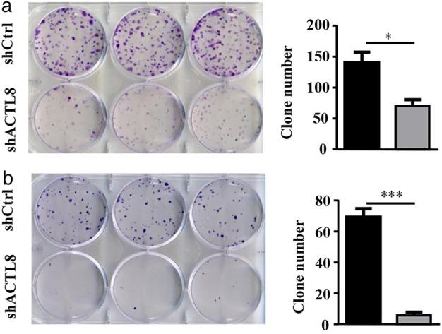 https://cdn.ncbi.nlm.nih.gov/pmc/blobs/a887/7049497/6530034920d5/TCA-11-526-g005.jpg