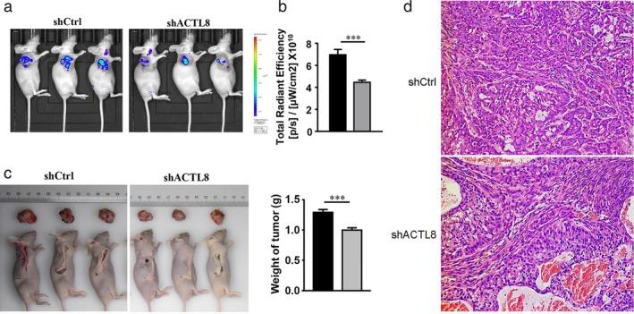 https://cdn.ncbi.nlm.nih.gov/pmc/blobs/a887/7049497/a1740f22e2d6/TCA-11-526-g009.jpg