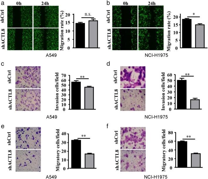 https://cdn.ncbi.nlm.nih.gov/pmc/blobs/a887/7049497/b0be36156f7b/TCA-11-526-g007.jpg