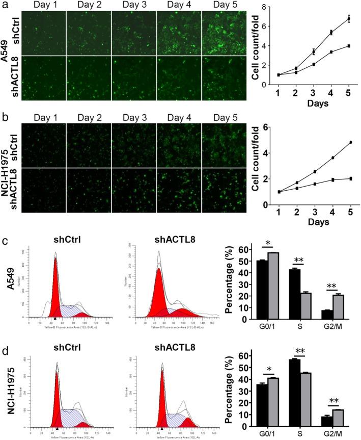 https://cdn.ncbi.nlm.nih.gov/pmc/blobs/a887/7049497/c77fa61edf52/TCA-11-526-g003.jpg