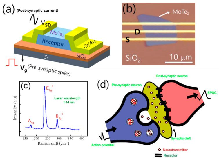 https://cdn.ncbi.nlm.nih.gov/pmc/blobs/a887/7761516/732abfb80708/nanomaterials-10-02326-g001.jpg