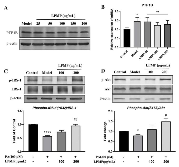 https://cdn.ncbi.nlm.nih.gov/pmc/blobs/a888/8657924/3c0a3e81af67/ijms-22-12693-g005.jpg