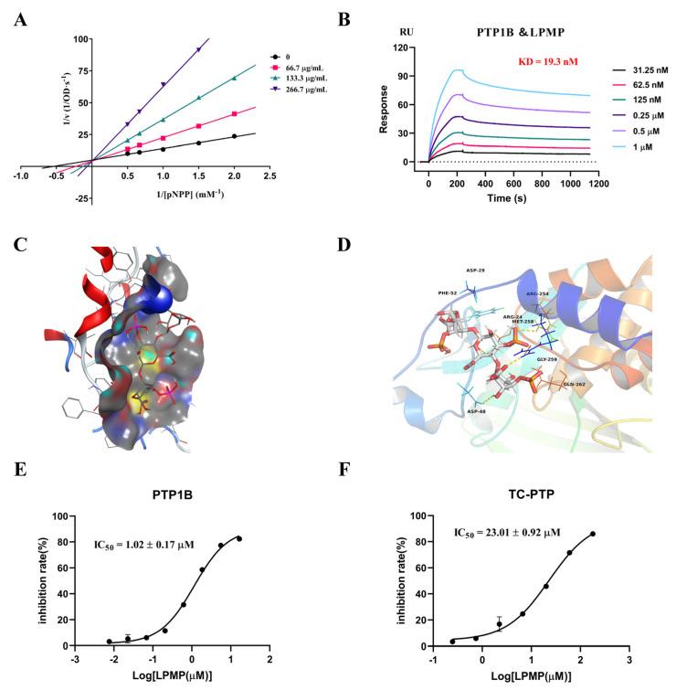 https://cdn.ncbi.nlm.nih.gov/pmc/blobs/a888/8657924/450b64e7702a/ijms-22-12693-g002.jpg