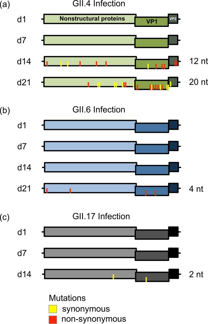 https://cdn.ncbi.nlm.nih.gov/pmc/blobs/a889/5283768/b87983b86220/ppat.1006136.g003.jpg