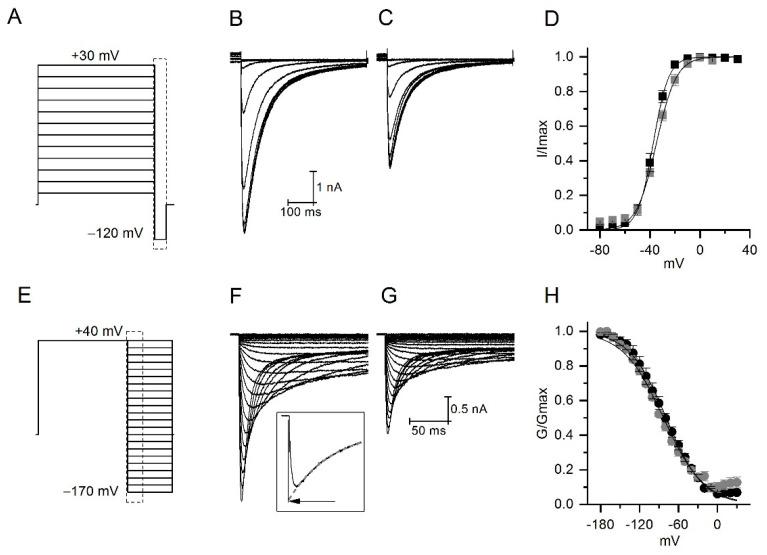 https://cdn.ncbi.nlm.nih.gov/pmc/blobs/a889/8273696/883f99b18c8b/toxins-13-00407-g004.jpg