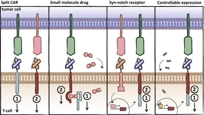 https://cdn.ncbi.nlm.nih.gov/pmc/blobs/a88b/7102133/03a1212e3508/40265_2019_1071_Fig4_HTML.jpg