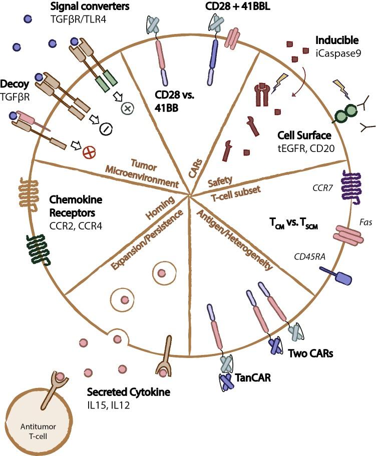 https://cdn.ncbi.nlm.nih.gov/pmc/blobs/a88b/7102133/1c0e1fef8aaf/40265_2019_1071_Fig3_HTML.jpg