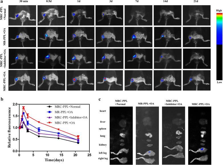 https://cdn.ncbi.nlm.nih.gov/pmc/blobs/a88c/7450974/3466daffa6c9/12951_2020_666_Fig6_HTML.jpg