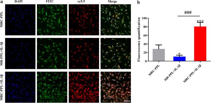 https://cdn.ncbi.nlm.nih.gov/pmc/blobs/a88c/7450974/368881235021/12951_2020_666_Fig5_HTML.jpg