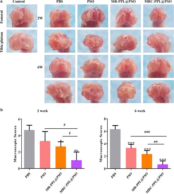https://cdn.ncbi.nlm.nih.gov/pmc/blobs/a88c/7450974/407f199b8620/12951_2020_666_Fig7_HTML.jpg