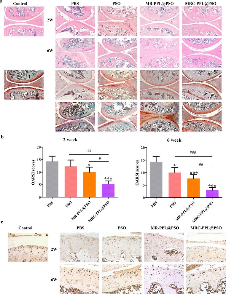 https://cdn.ncbi.nlm.nih.gov/pmc/blobs/a88c/7450974/432b6627a7ad/12951_2020_666_Fig8_HTML.jpg
