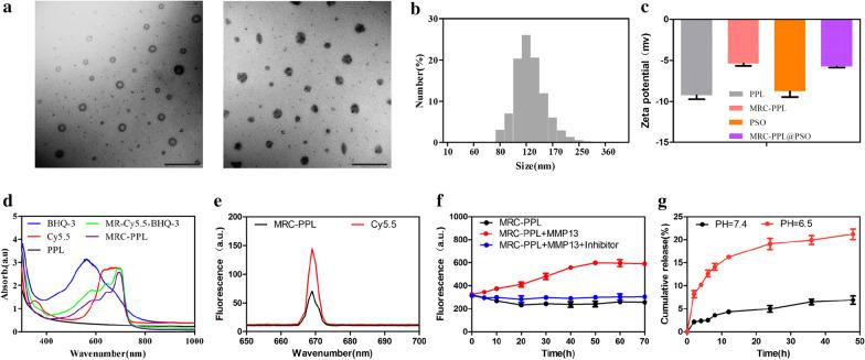 https://cdn.ncbi.nlm.nih.gov/pmc/blobs/a88c/7450974/e1a4cfab5559/12951_2020_666_Fig2_HTML.jpg