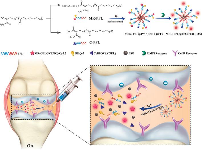 https://cdn.ncbi.nlm.nih.gov/pmc/blobs/a88c/7450974/e6d3fd493818/12951_2020_666_Fig1_HTML.jpg