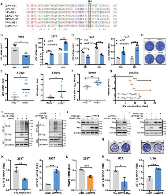 https://cdn.ncbi.nlm.nih.gov/pmc/blobs/a88d/11497017/01975a266fd0/ADVS-11-2408024-g004.jpg
